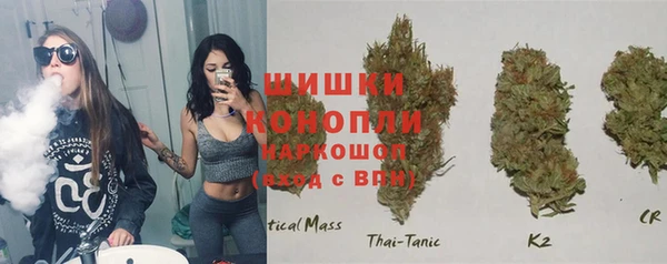 сатива Балахна